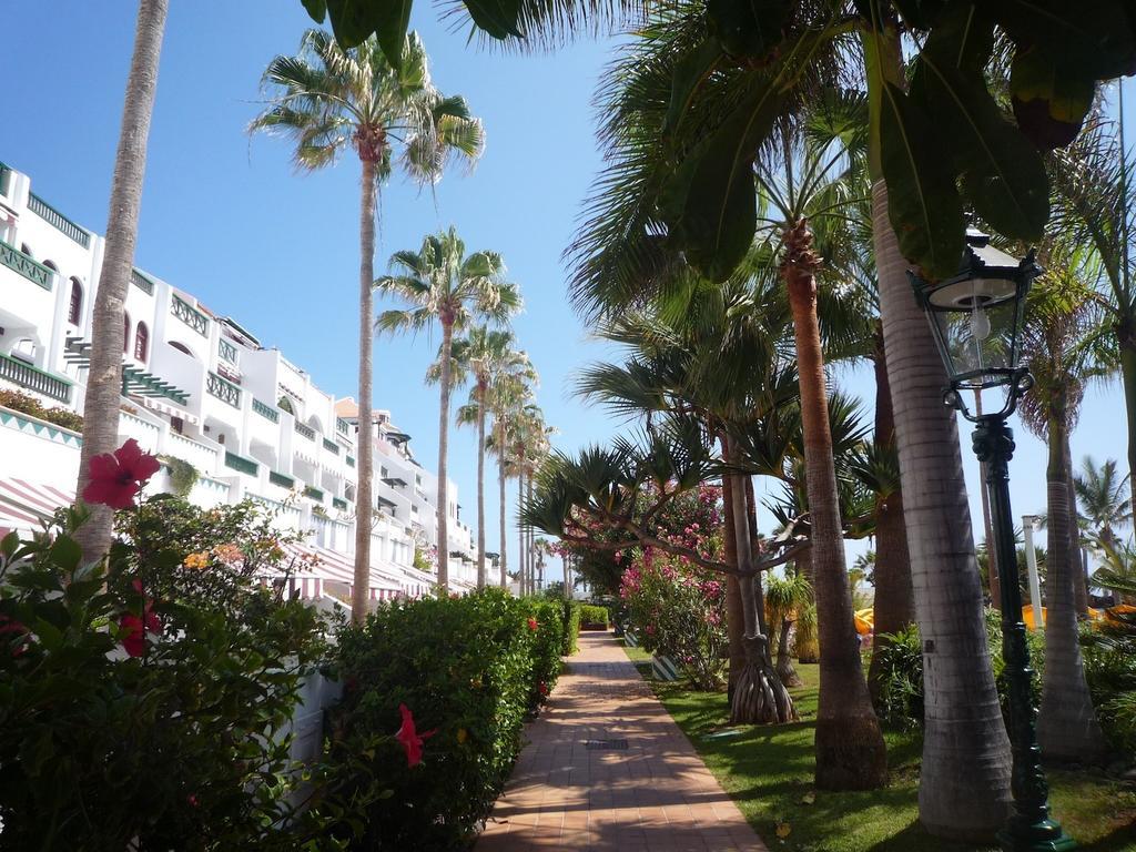 4 Santiago Playa Tenerife Estudio 플라야데라스아메리카스 객실 사진